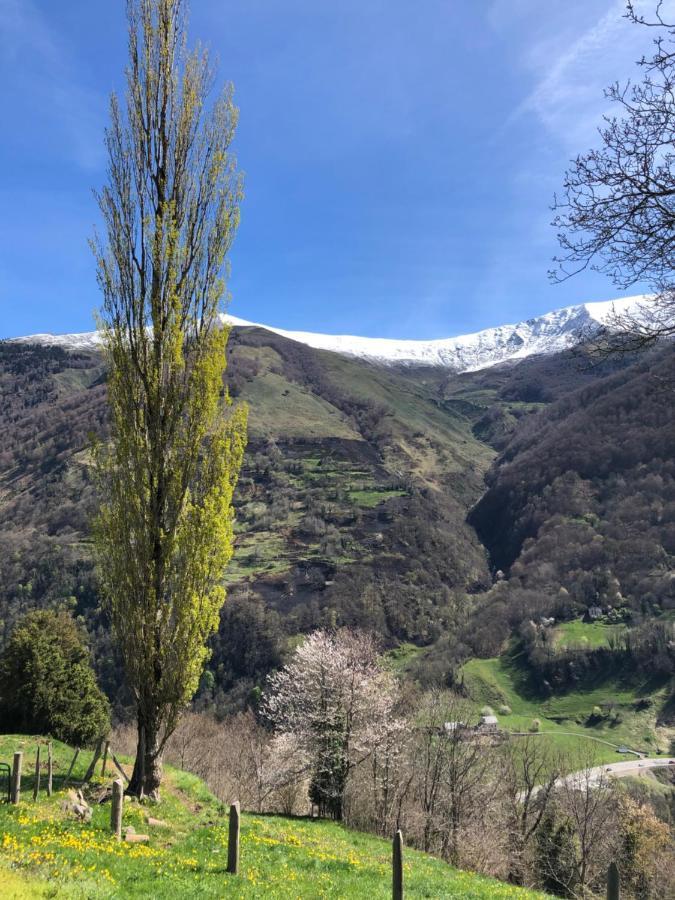 Maison De Montagne Borce 外观 照片